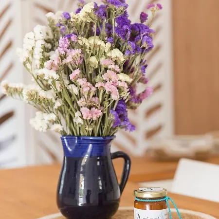 Agiazi Poros Summer House *