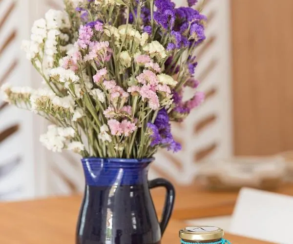 Agiazi Poros Summer House *