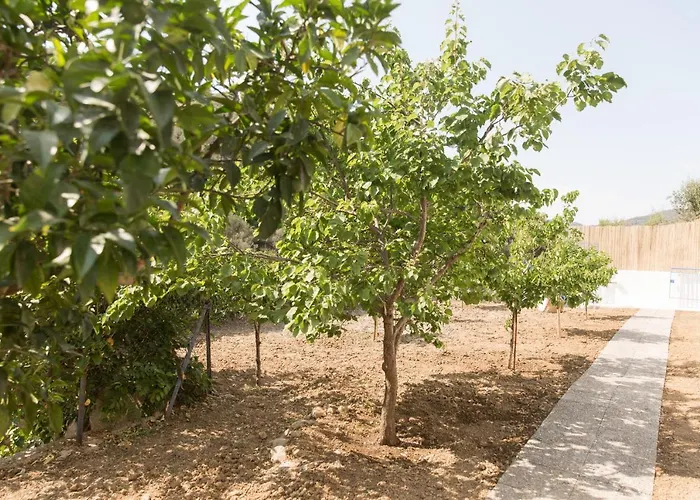 Agiazi Poros Summer House Галатас