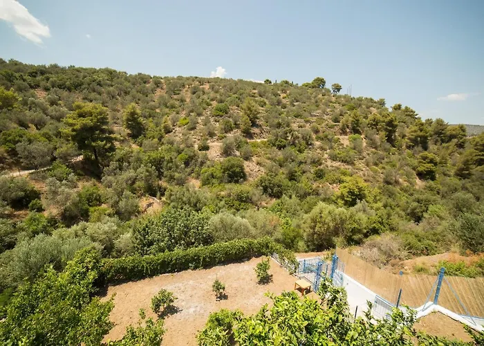 Апартаменты Agiazi Poros Summer House Галатас